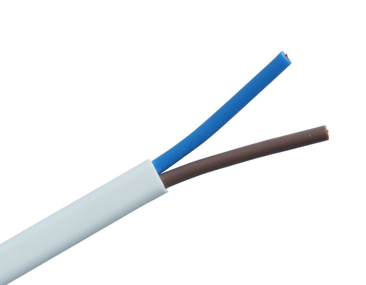 سلك الكابل الكهربائي RVV RVV 300v مع عزل PVC وموصول نحاس 4.0mm